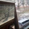 В Курске 88-летний пенсионер 7 месяцев ждал восстановления остекления балкона после обстрела ВСУ