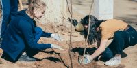 Для юных пациентов астраханской больницы на грант ЛУКОЙЛа создали зеленую зону