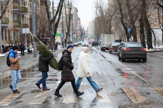 В московском метро можно провозить бесплатно ель высотой до 120 сантиметров В московском метро можно провозить бесплатно ель высотой до 120 сантиметров