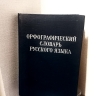ЗвОнит или звонИт: почему ученые не могут повлиять на изменение ударений в русском языке