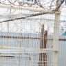 В Саранске женщина осуждена за оскорбление и применение насилия против инспекторов по делам несовершеннолетних