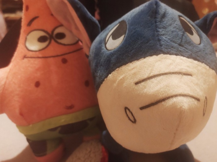 Опасную заброшку велели оградить от детей в Костромской области