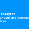 До +13 градусов прогнозируется в выходные в Иркутске