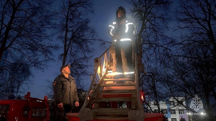 В Богородицке пожарные сняли с дерева рыжего кота