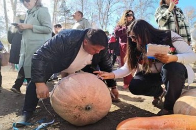 Традиционный Фестиваль тыквы пройдет в Приамурье