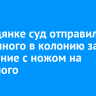 В Слюдянке суд отправил бездомного в колонию за нападение с ножом на знакомого