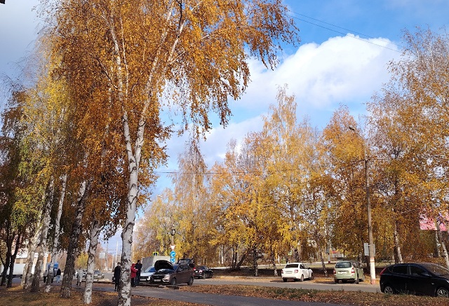 В Мордовии подвели итоги регионального этапа конкурса «Вектор добра» В Мордовии подвели итоги регионального этапа конкурса «Вектор добра»