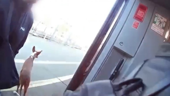 В ОЖД дали комментарий в связи с ситуацией с псом Блюмой, который катался на «Ласточке»