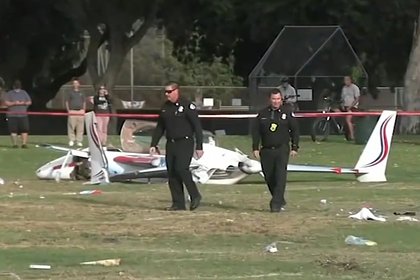 Самолет упал на футбольное поле и задел глухую женщину с собакой