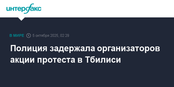 Полиция задержала организаторов акции протеста в Тбилиси