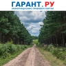 Порядок создания и эксплуатации лесных дорог закрепили на законодательном уровне