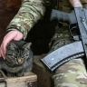 Оклады военных с 1 октября вырастут на 4,5 процента