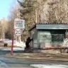 В пути жители Башкирии повстречали диких животных