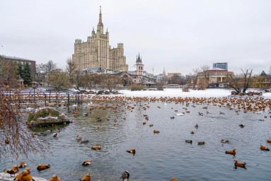Участники зимней акции Московского зоопарка смогут получить билет на летний сезон