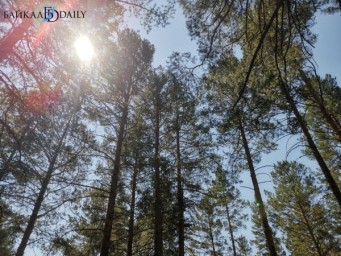 На Байкале проведут международный лесоклиматический форум