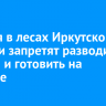С 1 мая в лесах Иркутской области запретят разводить костры и готовить на мангале