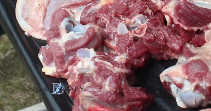 В Бурятии рассказали, чем опасно мясо диких животных