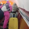 Жителям Петербурга объяснили порядок действий при потере багажа