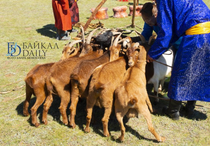 Был утверждён первый международный стандарт Монголии