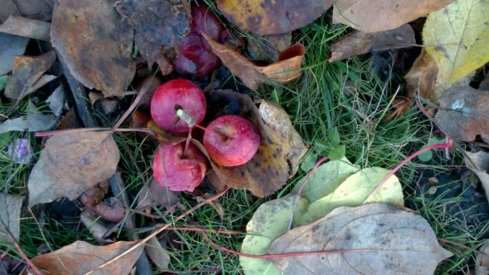 В Башкирии после аномального потепления грянут арктические морозы В Башкирии после аномального потепления грянут арктические морозы