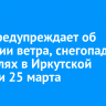 МЧС предупреждает об усилении ветра, снегопадах и метелях в Иркутской области 25 марта