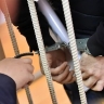 Пьяный мужчина изнасиловал пенсионерку в парке под яблоней и получил срок в колонии