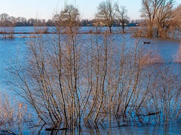 Систему мониторинга угроз паводка с применением ИИ запустили в Татарстане Систему мониторинга угроз паводка с применением ИИ запустили в Татарстане