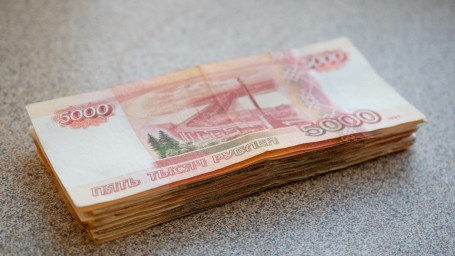 Пенсионер из Петербурга украл землю у агрофирмы на 3,4 миллиона рублей