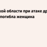 В Брянской области при атаке дрона на автобус погибла женщина