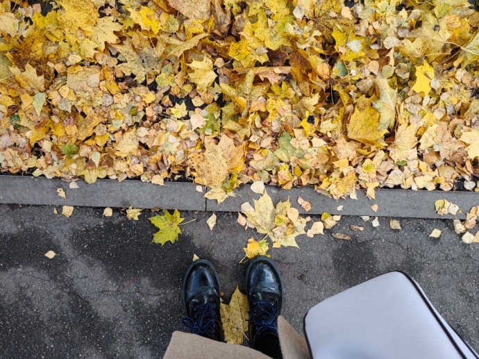 Холодная погода приходит в Тулу всерьёз и надолго Холодная погода приходит в Тулу всерьёз и надолго