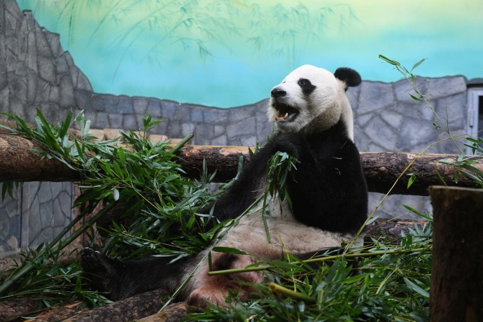 Московский зоопарк перешел на зимний режим работы с 21 октября