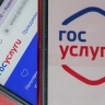 Пожаловаться на мошенников можно будет через «Госуслуги»