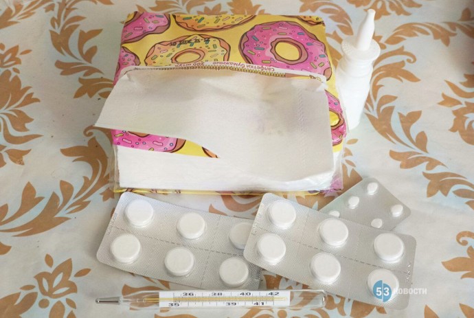 В Новгородской области снизилась заболеваемость гриппом и ОРВИ В Новгородской области снизилась заболеваемость гриппом и ОРВИ