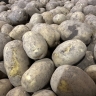 Чиновники рассказали, где костромичи могут закупиться дешевыми продуктами