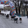 На Камчатке завершился четвёртый этап гонки "Берингия"