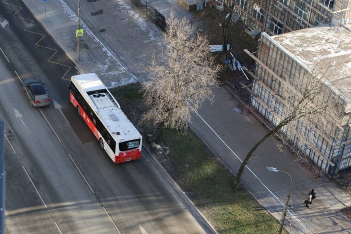 ​Бесплатный проезд в Перми предлагают ввести для семилетних дошкольников
