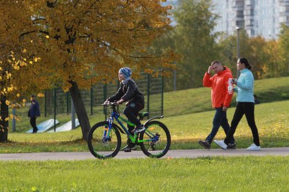 Названа дата начала бабьего лета в Москве Названа дата начала бабьего лета в Москве