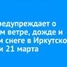 МЧС предупреждает о сильном ветре, дожде и мокром снеге в Иркутской области 21 марта