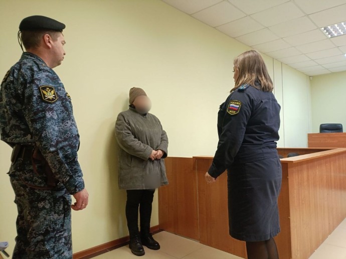 Жительницу Ярославской области с миллионным долгом по алиментам нашли в куче белья