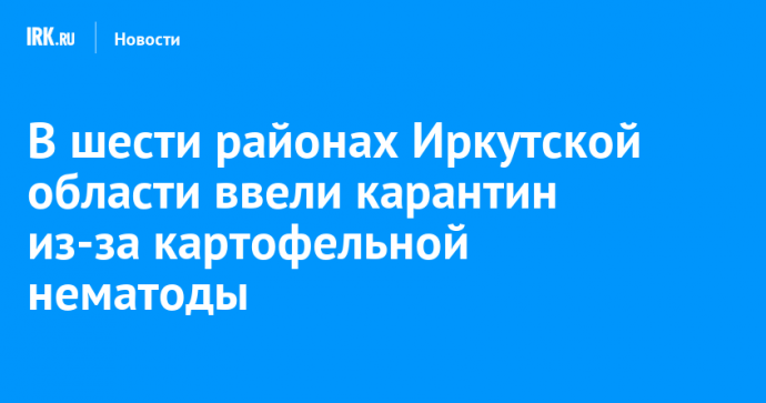 В шести районах Иркутской области ввели карантин из-за картофельной нематоды