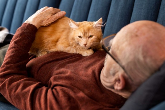 Почему кошка спит на человеке: 4 главные причины такого поведения Почему кошка спит на человеке: 4 главные причины такого поведения