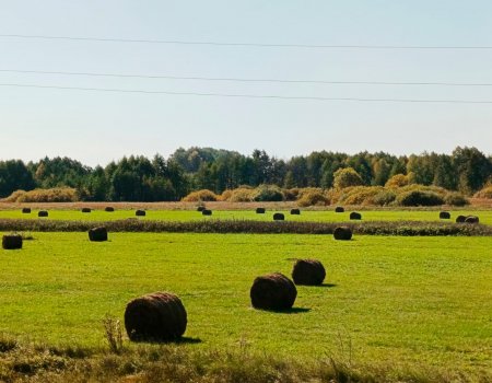 22 сентября Башкирия встретит осеннее равноденствие 22 сентября Башкирия встретит осеннее равноденствие