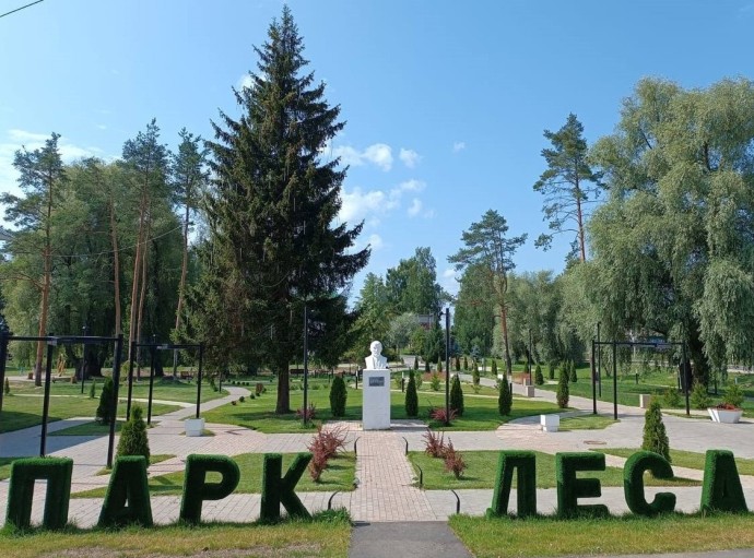 Парк леса в поселке Пречистое благоустроят до конца августа
