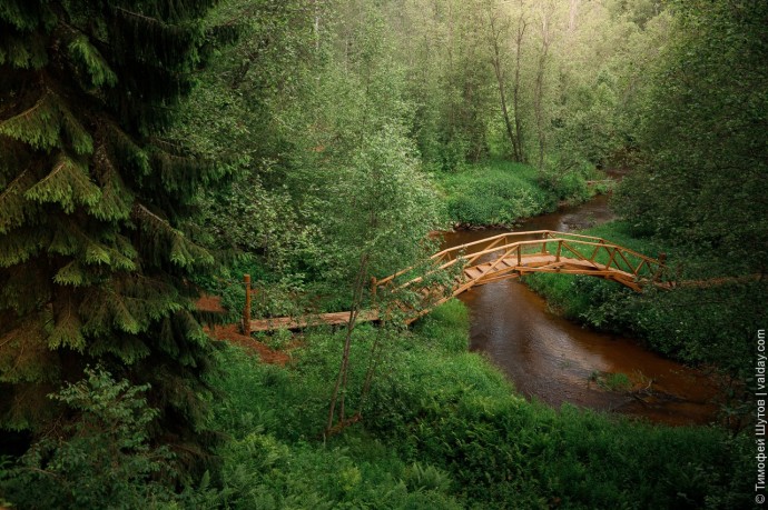На новом маршруте Большой Валдайской тропы появился мост и ещё много интересного