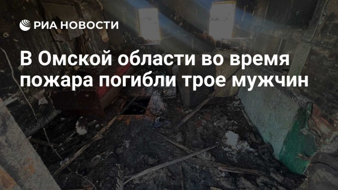 В Омской области во время пожара погибли трое мужчин