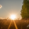 Небольшой дождь и +25 °C: прогноз погоды на 16 июня в Сахалинской области