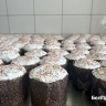 Студенты белгородских техникумов пекут пасхальные куличи для жителей приграничья