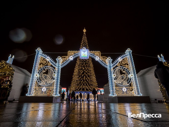 В Белгороде на Соборной площади планируют установить новогоднюю ёлку, но катка не будет