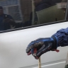 Астраханца напугала змея под капотом его автомобиля