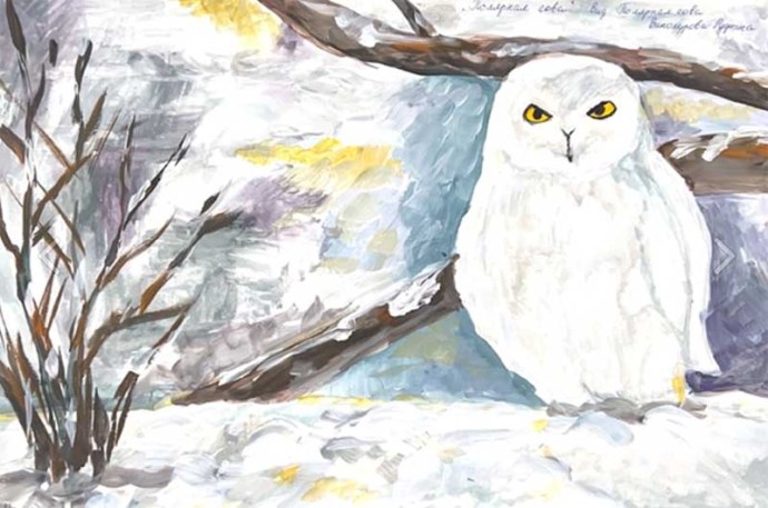 В Якутии определились победители конкурса «Научный орнитологический рисунок»
